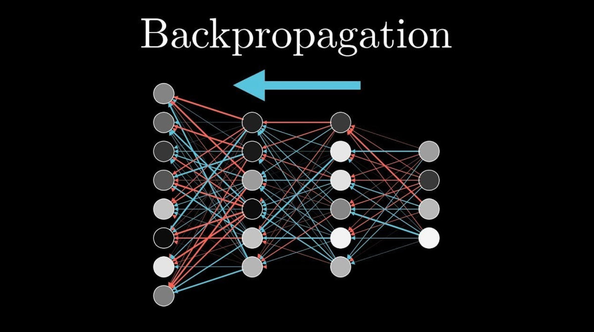 Why Backpropagation Falls Short of Its True Purpose